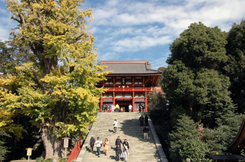 鶴岡八幡宮の画像