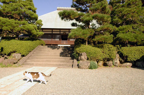 Jyomyoji Temple