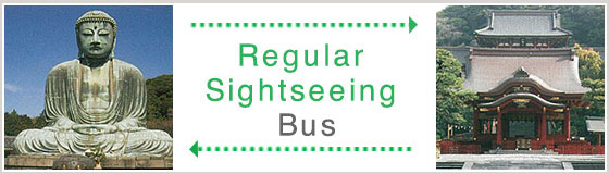 Regular sightseeing bus