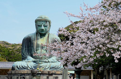 Kotoku-in（Daibutsu）