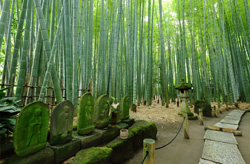 Houkokuji Temple